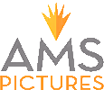 AMS Pictures logo