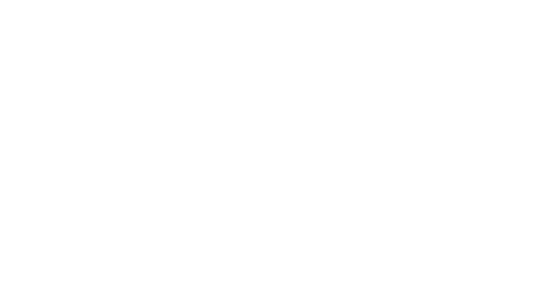 NewsNet logo