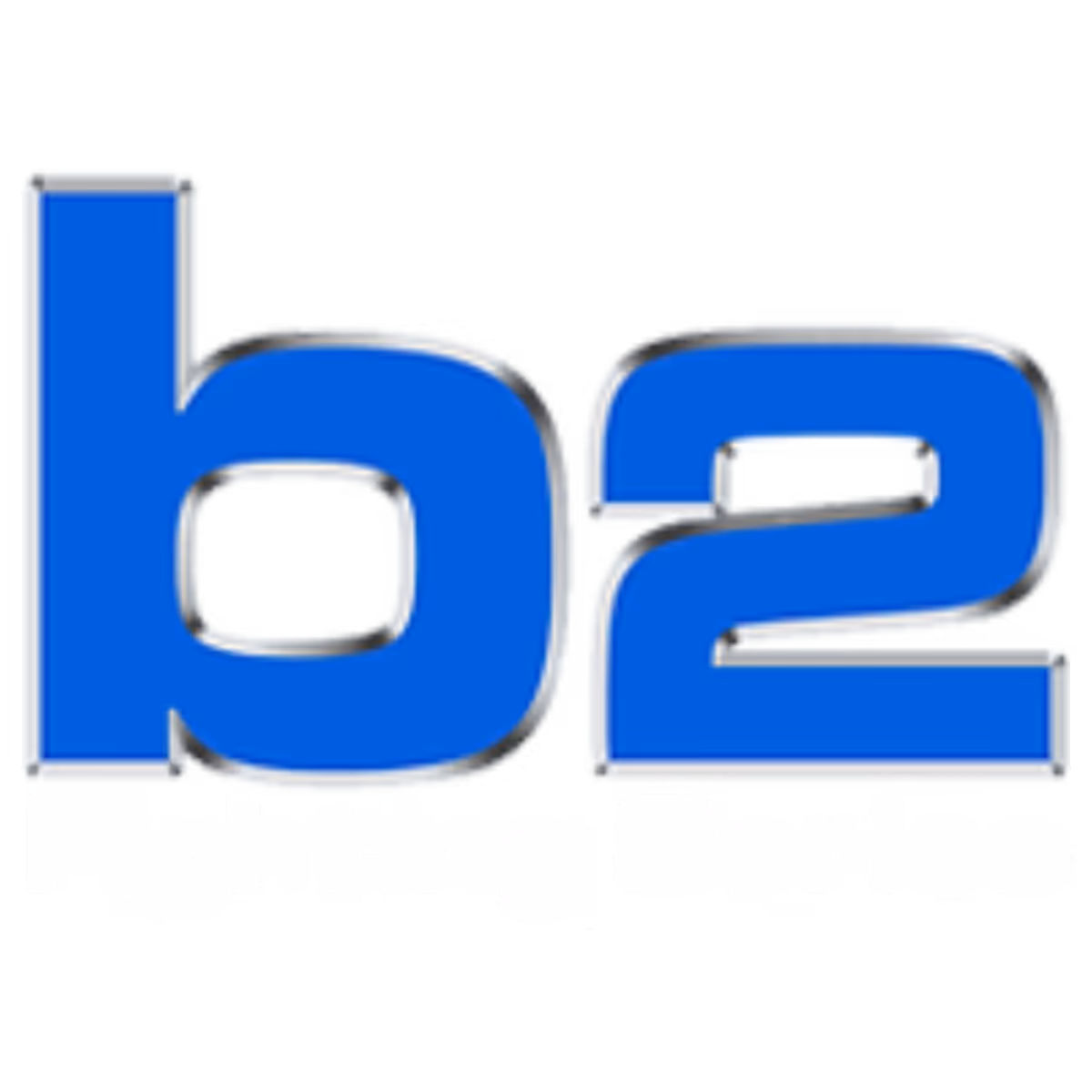 B2 Fighting Series logo